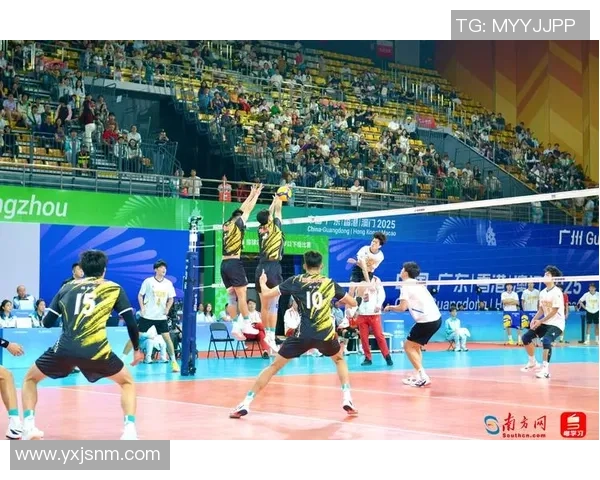 广州排球队实力分析与表现评估：数据透视与未来展望